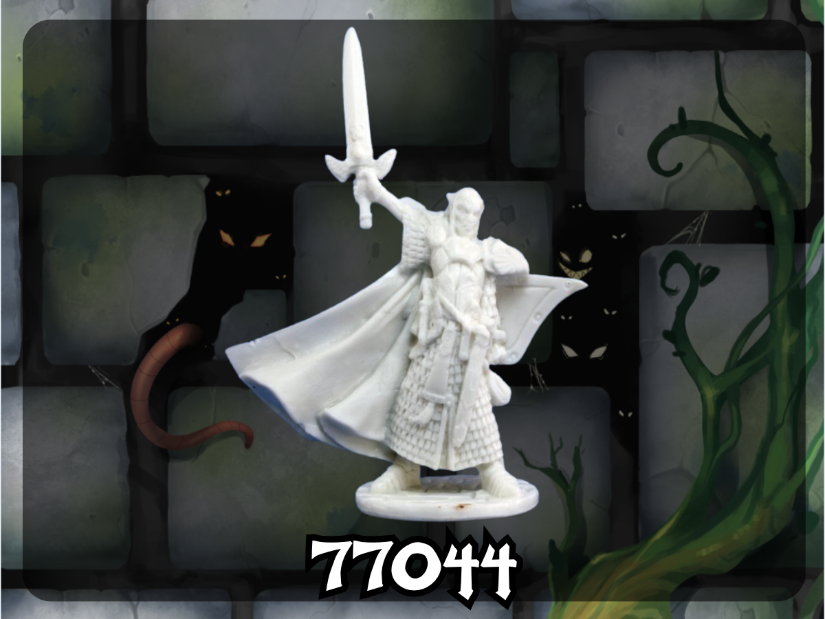 Bones: Turanil, Male Elf Paladin 77044