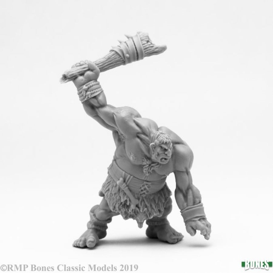 Dark Heaven Bones: Hill Giant Lowlad Warrior 77475