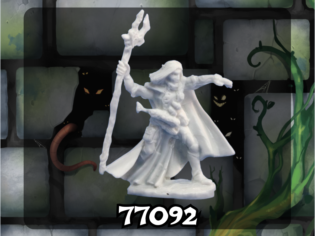 Dark Heaven Bones: Elquin, High Elf Adventurer 77092