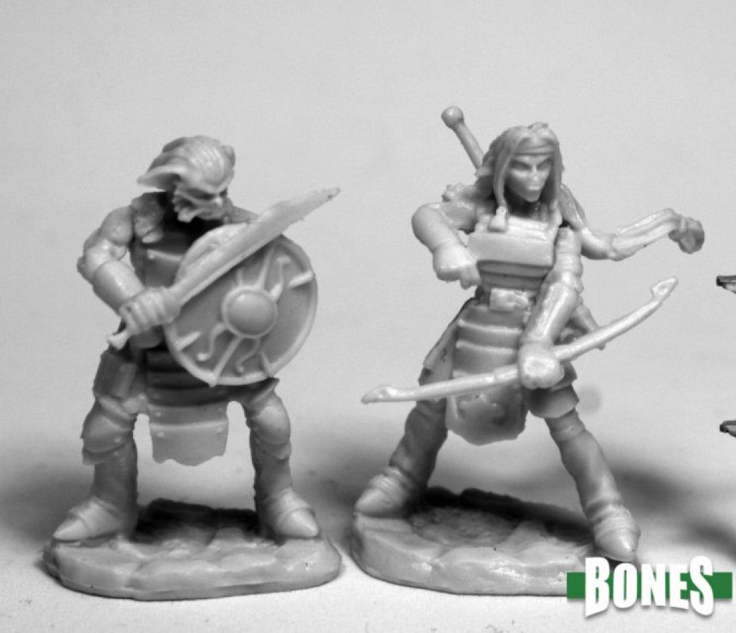 Dark Heaven Bones: Hobgoblin Warriors 77476