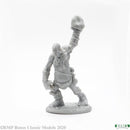 LocalID_31528 